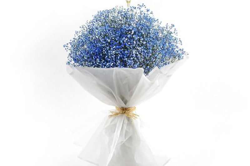 Blue Nim Nim Hand Bouquet — same-day flower delivery in Kuwait