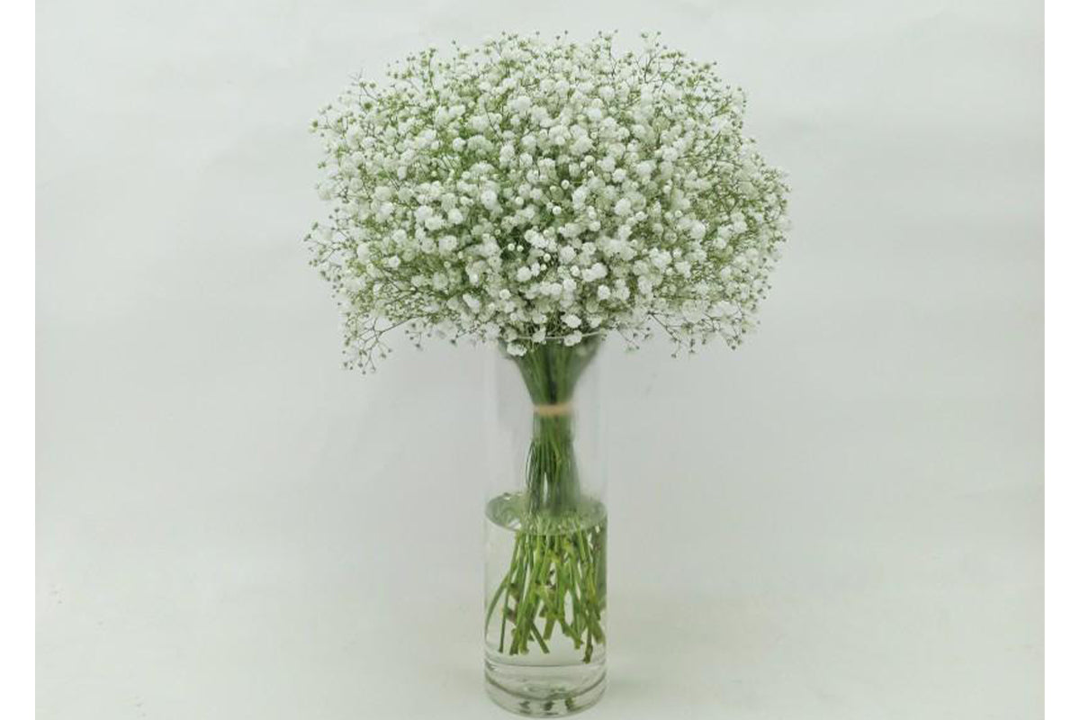 White Nim Nim Vase