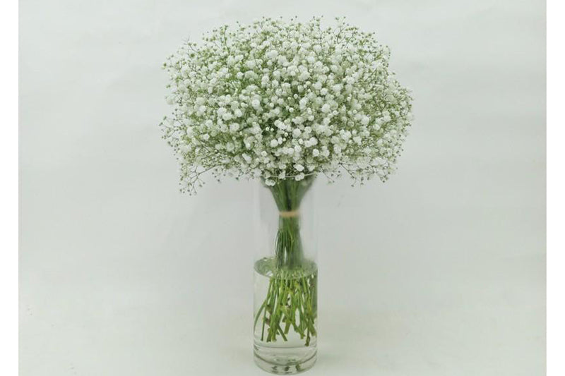 White Nim Nim Vase — same-day flower delivery in Kuwait