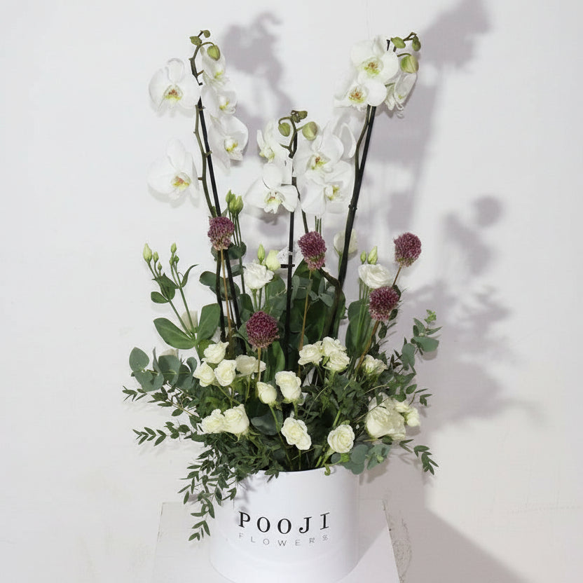 White Orchid Luxury Box