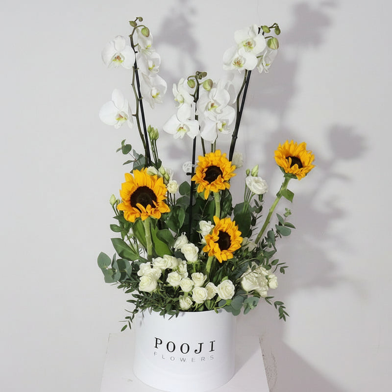 White Orchid &amp; Sunflower In Luxury Box — same-day flower delivery in Kuwait