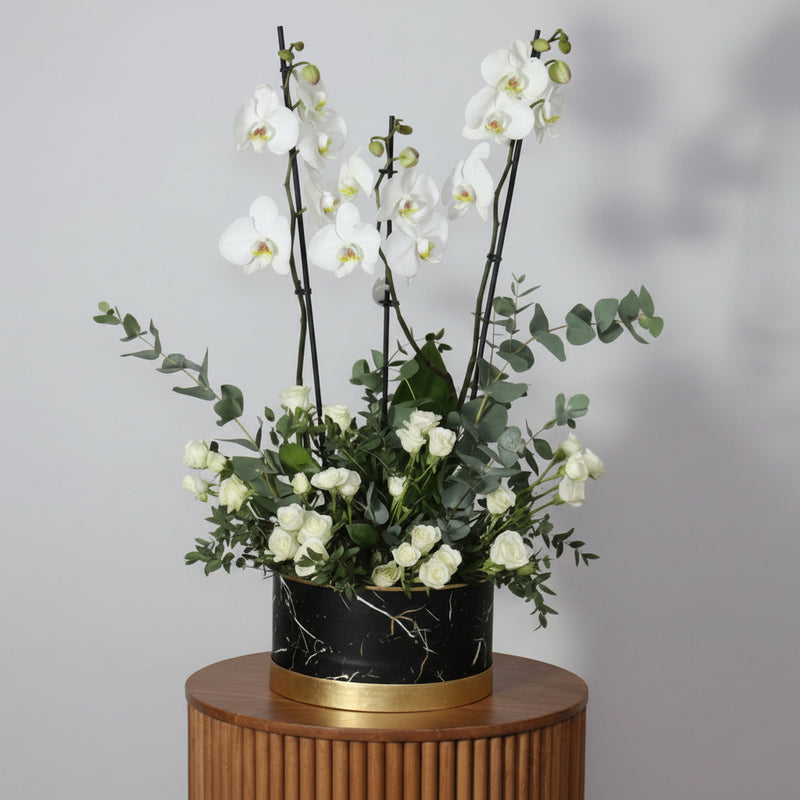 White Orchid in Marble Planter — same-day flower delivery in Kuwait