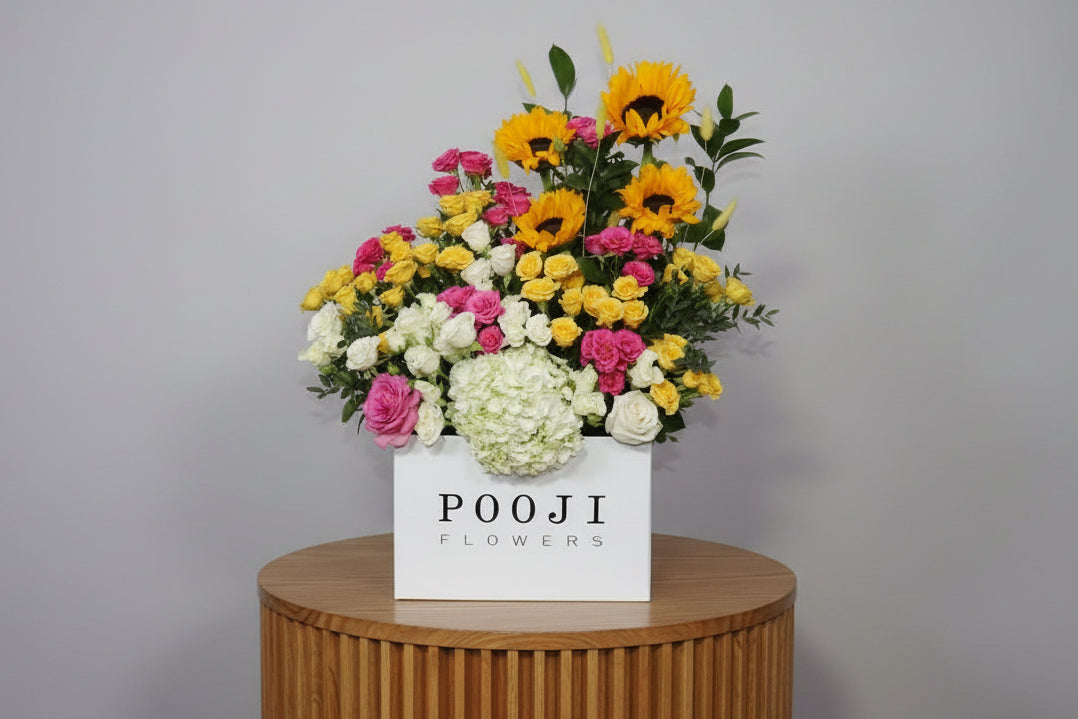 Sunflowers With Pushy Tuch