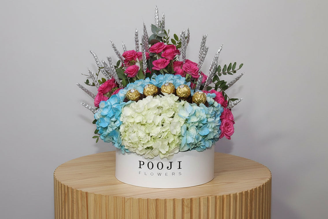 Pushy Blue white touch Box