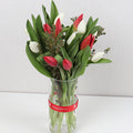 Clear Vase Tulip Flowers arranged beautifully with red and white tulips and fresh green leaves