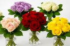 Five glass vases with colorful rose bouquets on a white background