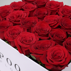 Close-up of red roses