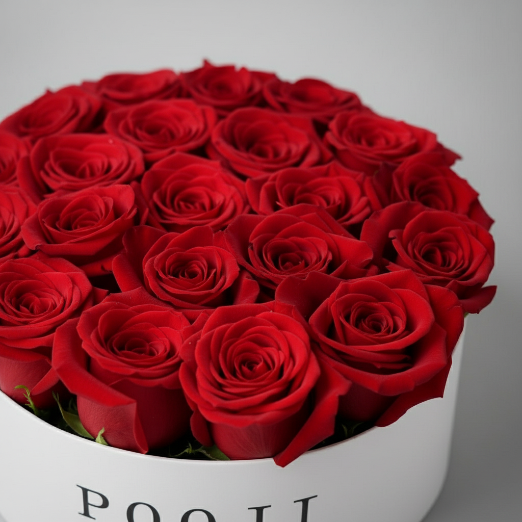 Close-up of red roses
