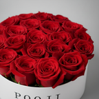 Close-up of red roses