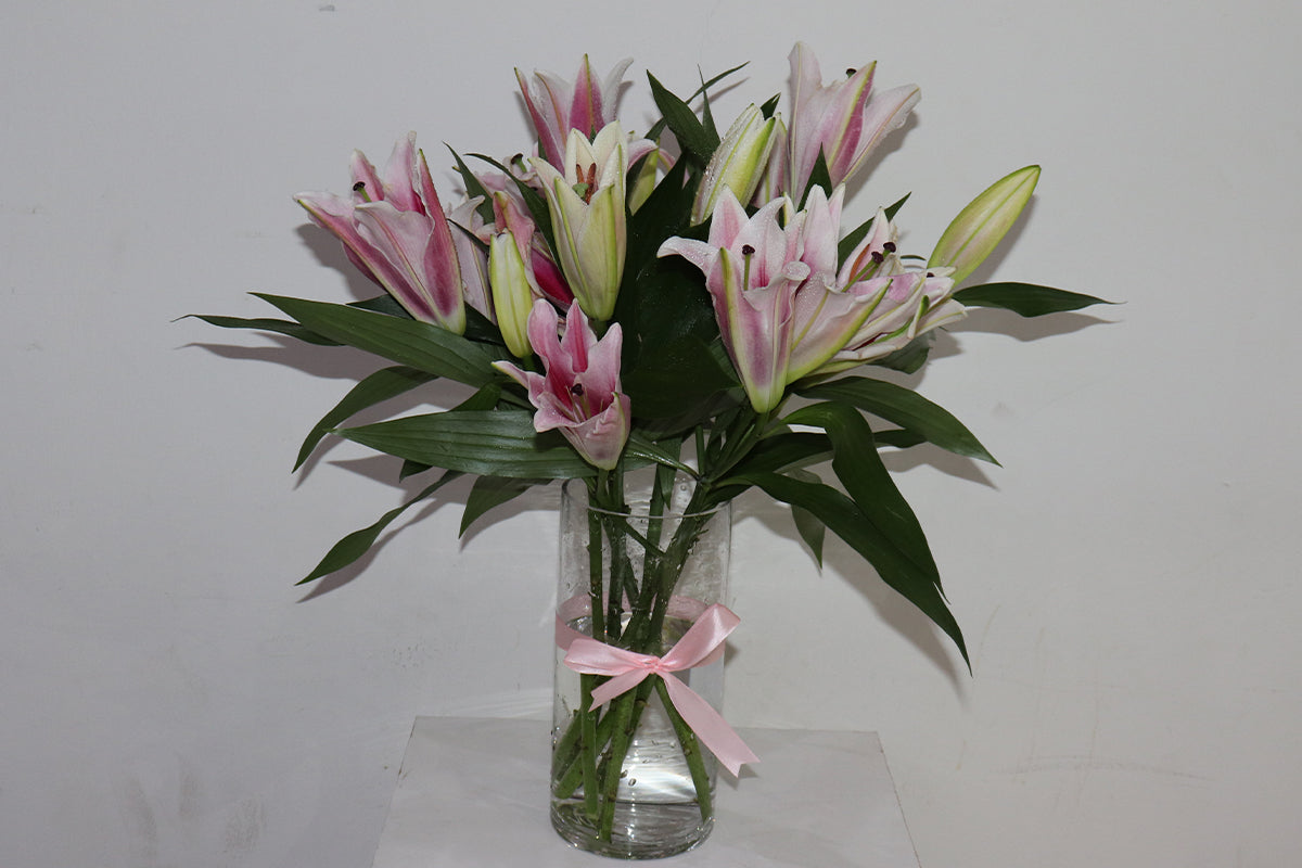Small Pink Lilliam 5 Pieces