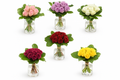 Set of six small glass vases with colorful rose bouquets on a white background