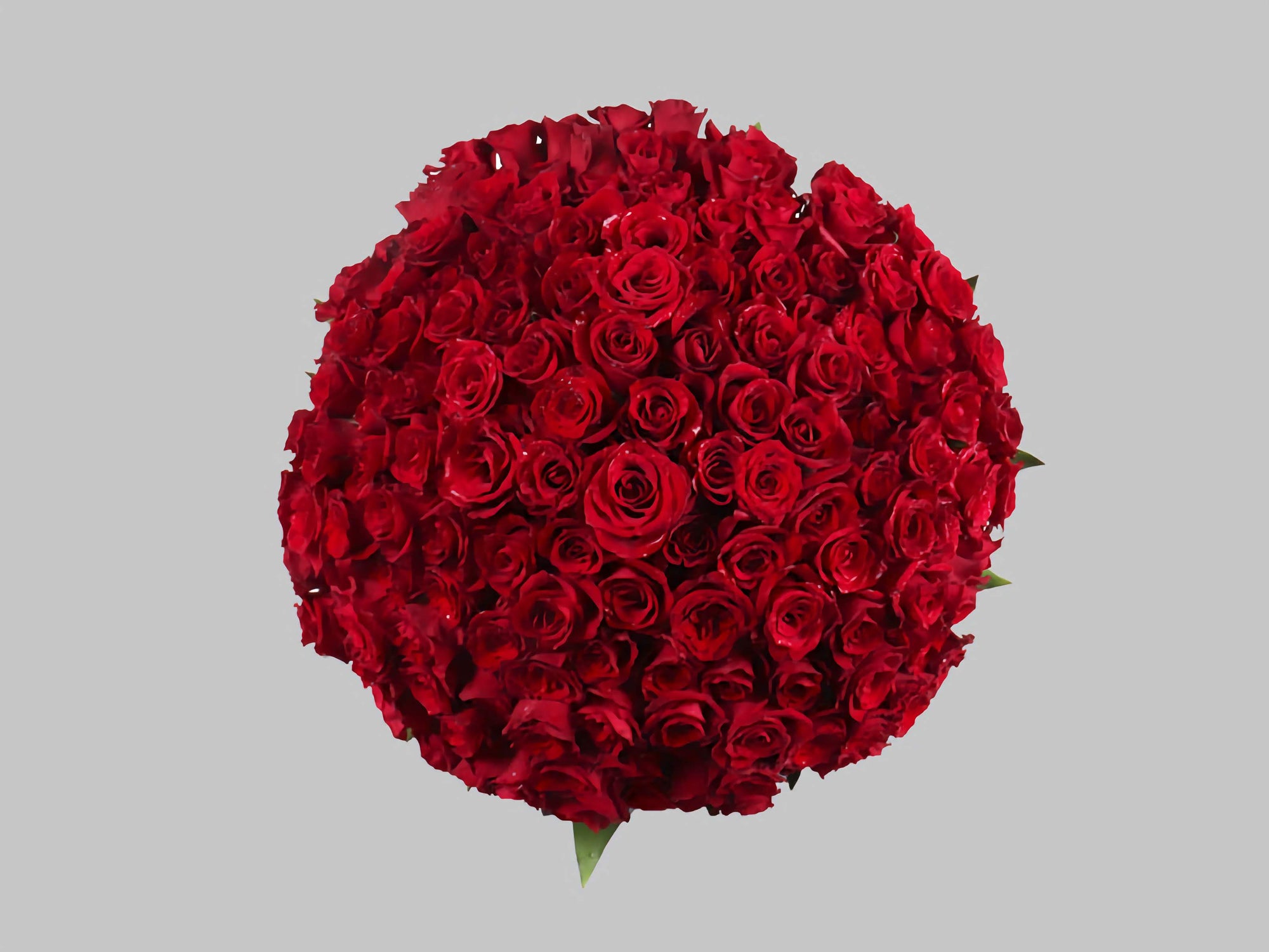 Stunning 200 Red Roses Bouquet designed in a round shape for romantic occasions and celebrations