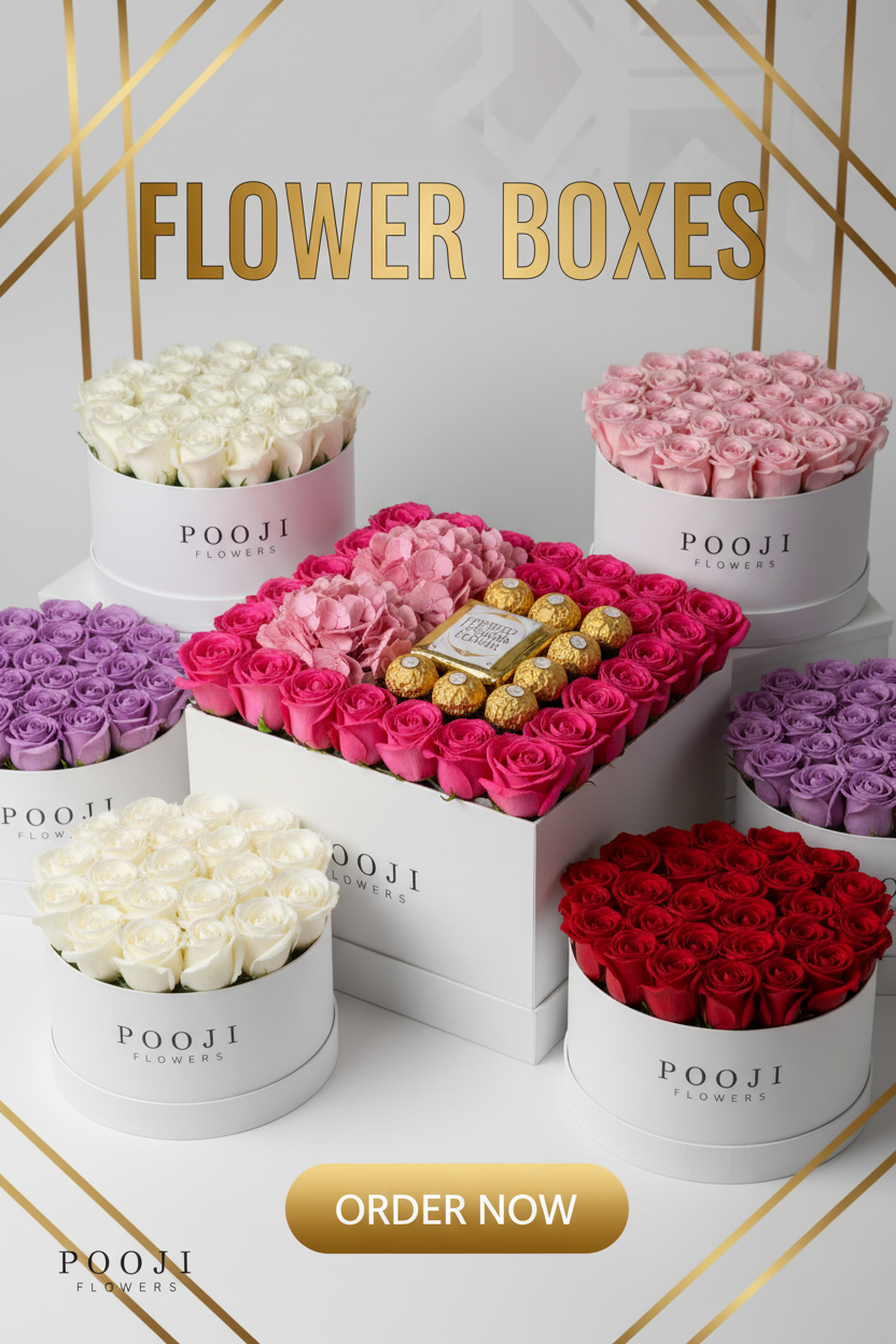 Flower Boxes Collection - Bold Design