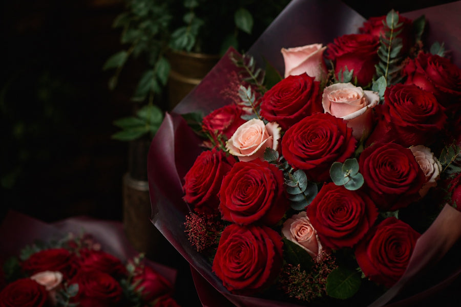 Roses for every moment.