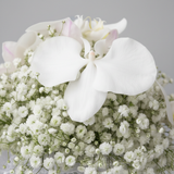Close-up detail of white Phalaenopsis orchids and gypsophila in the bridal bouquet
