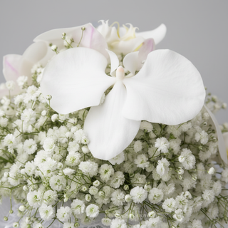 Close-up detail of white Phalaenopsis orchids and gypsophila in the bridal bouquet