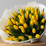 Close-up of fresh yellow tulips