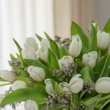 Close-up detail of fresh white tulips