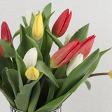Close-up of red yellow and white tulips