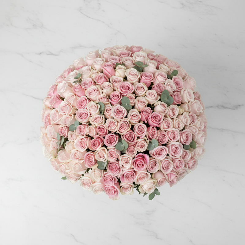 150 Long-Stem Pink Roses in Glass Vase - flat lay top-down