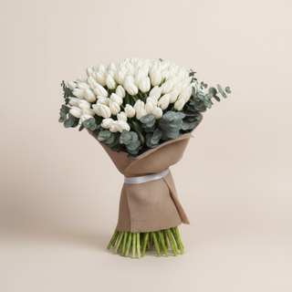 Improved white tulips main image