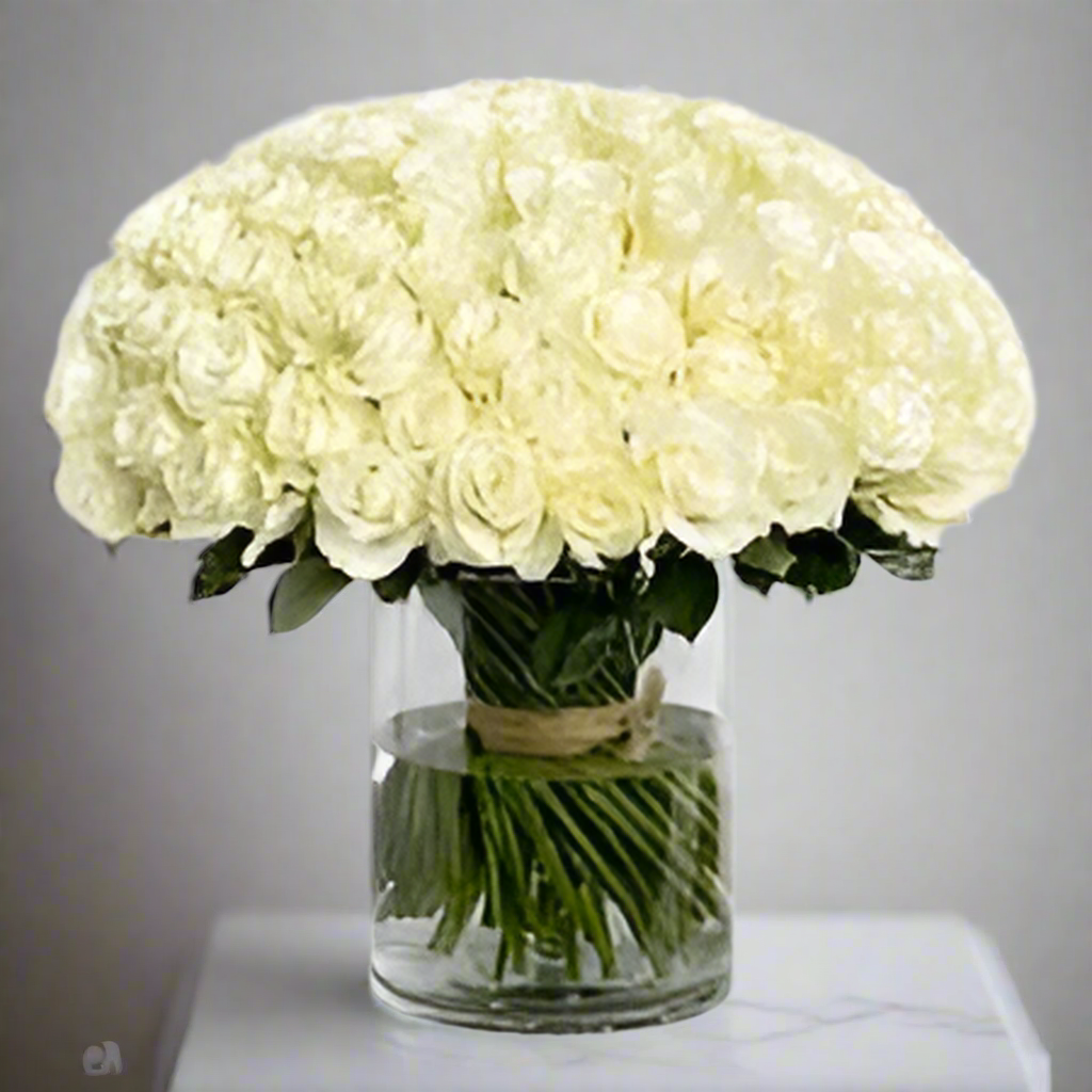 100 Luxurious White Roses in a Vase | Pooji Flowers