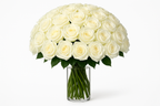 Bouquet of white roses in a clear vase on a white background