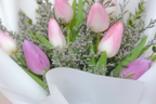 Pink Tulips Close-up Detail - Fresh Flower Bouquet Kuwait