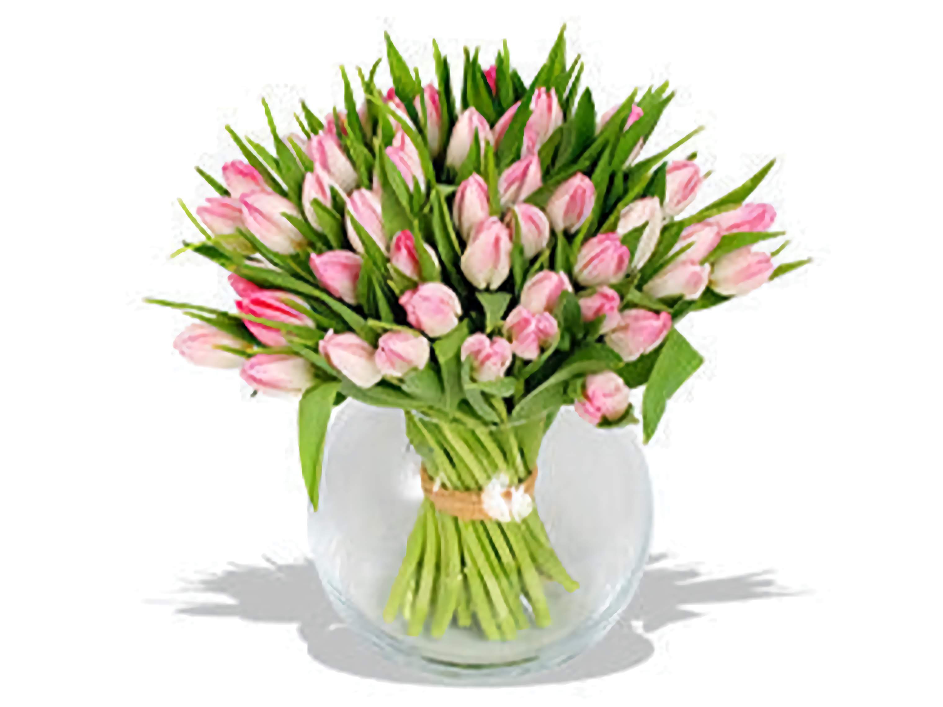 Pink Tulips Bowl | 40 Tulips