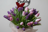 Premium Classic Tulips Close-Up