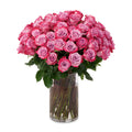 Dee Purple Roses Vase 50 Pieces