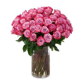Dee Purple Roses Vase 50 Pieces