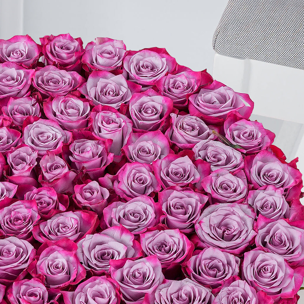 Purple Pink Roses in Luxury Flower Box