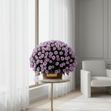 Purple Roses Basket — Window Light 1:1