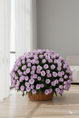 Purple Roses Basket — Window Light