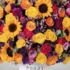 Radiant Flower Box Close-Up