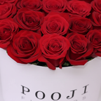 Red roses close-up detail