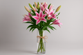 Bouquet of pink lilies in a clear vase on a light gray background