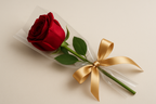 Single Red Rose elegantly wrapped with a gold ribbon for special occasions