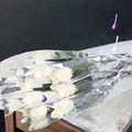 Bouquet of elegant Single White Rose wrapped in clear packaging for special occasions