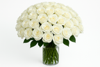 Bouquet of white roses in a clear vase on a white background