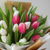 White and Pink Tulips Close-up Detail - Fresh Flowers Kuwait