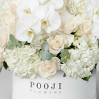 White Blossom Close-up