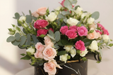 White Peach Pink Baby Roses Close-Up