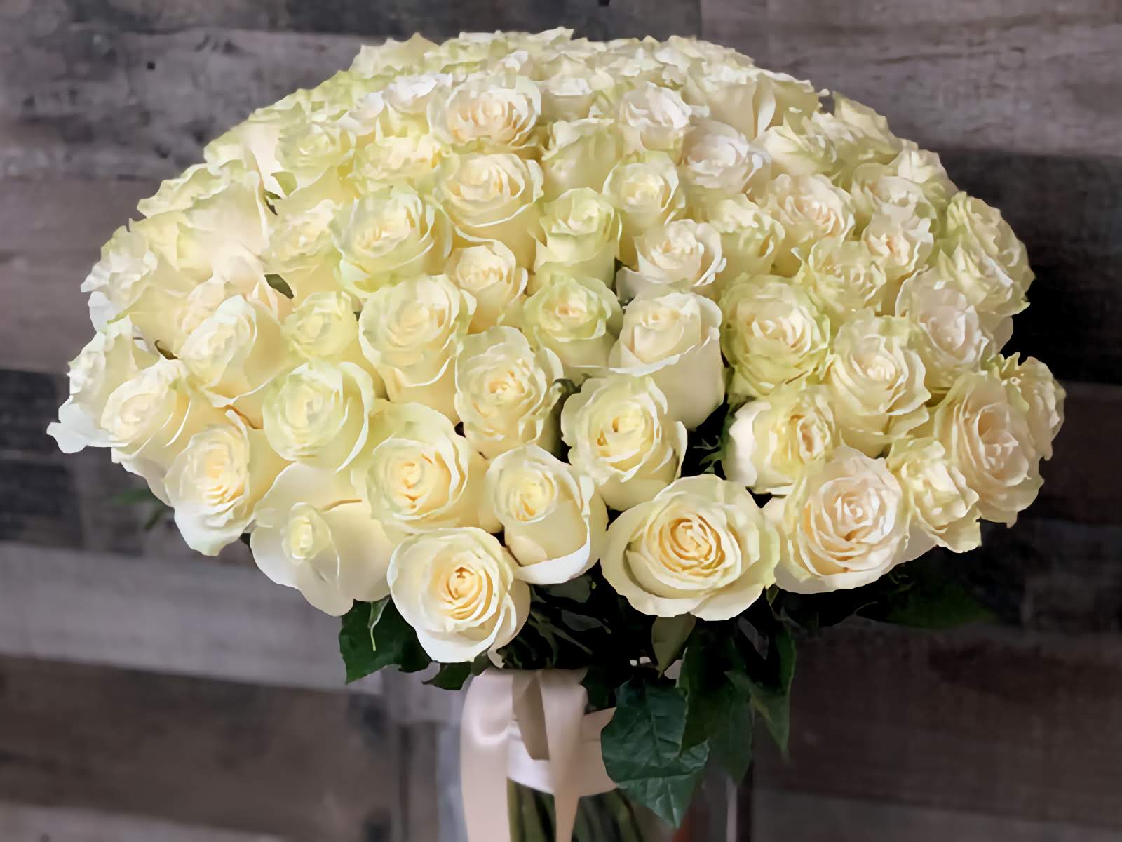 white roses bouquet 50 roses